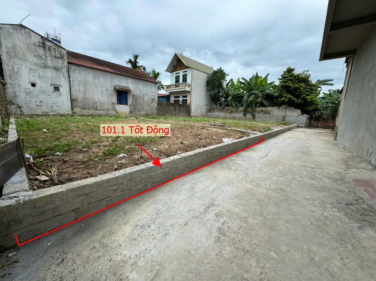 Hình ảnh Đất Phân Lô Xã Tốt Động 101.1m Sát Trục Kinh Doanh Ngay Gần Trung Tâm Hành Chính Xã 