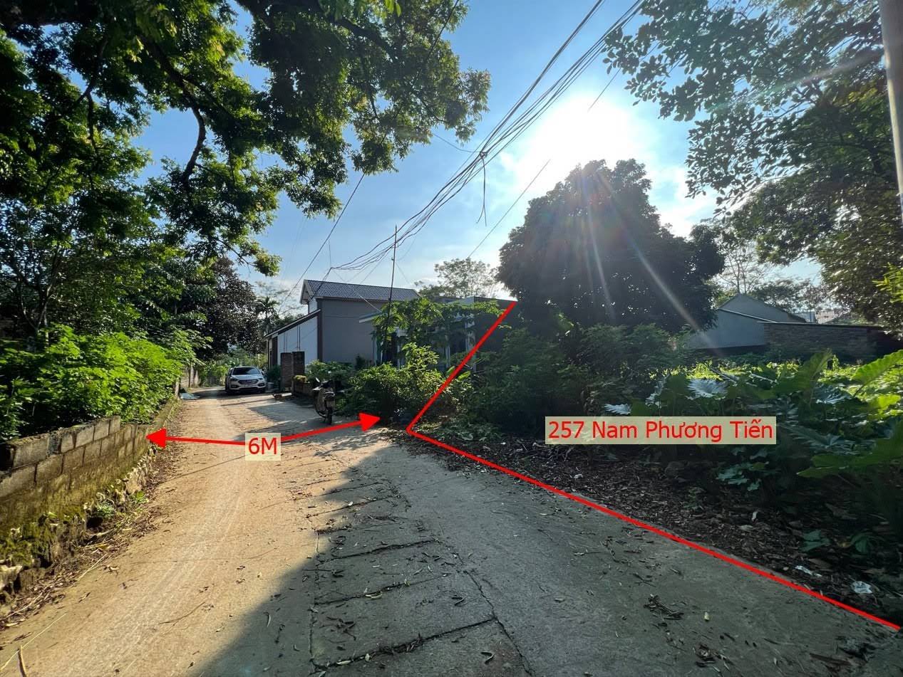 Hình ảnh Bán Thửa Đất Full Thổ Cư Trục Chính Xã Nam Phương Tiến Phù Hợp Phân Lô Thương Mại Chỉ Vài Triệu/m2