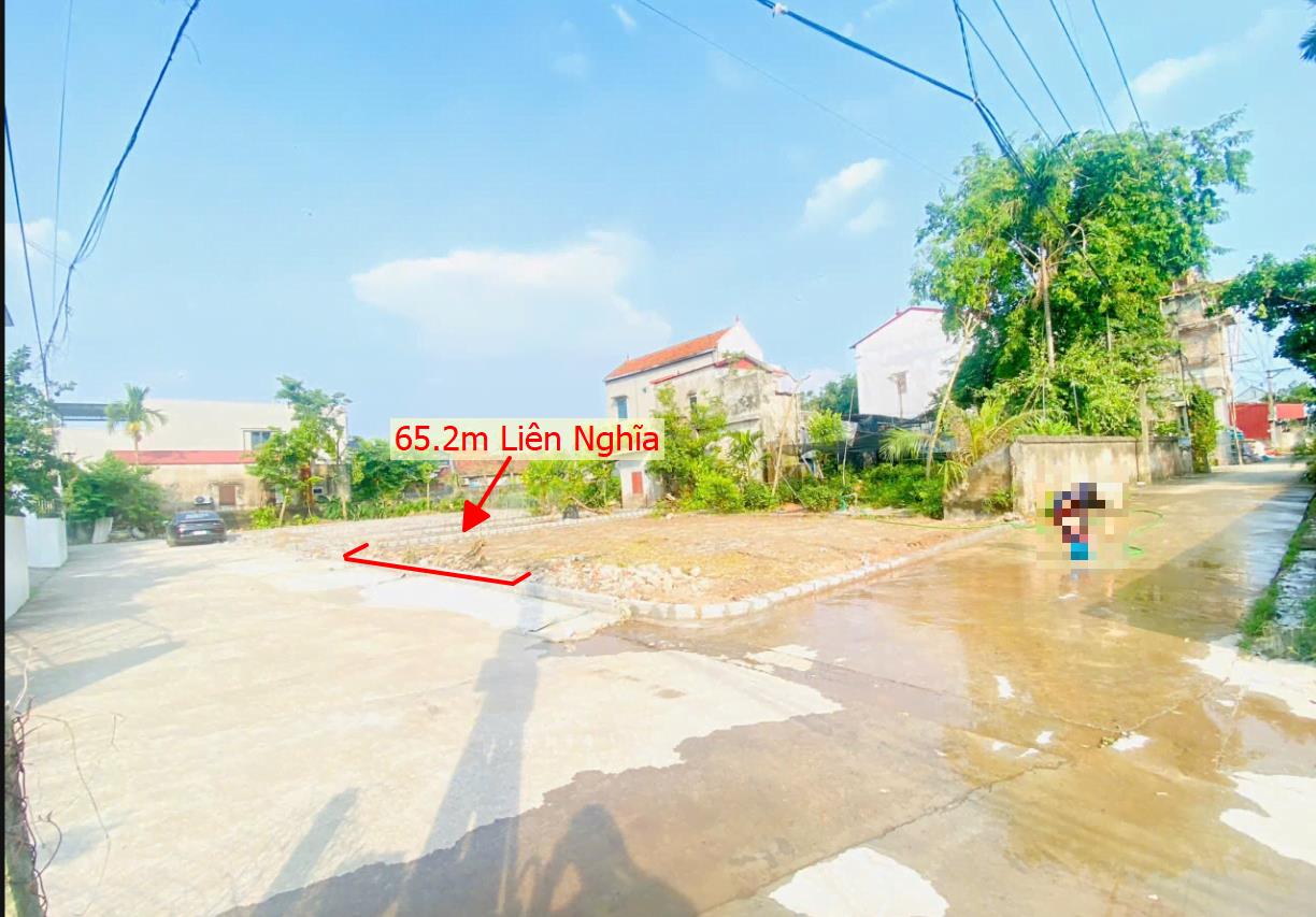 Hình ảnh Bán Lô Đất 65.2m Tại Liên Nghĩa Văn Giang Bám Đường Bê Tông Ô Tô Vào Tận Đất Dân Cư Đông Đúc Thân Thiện Gần Chợ Trường Học Ủy Ban Giá Đầu Tư