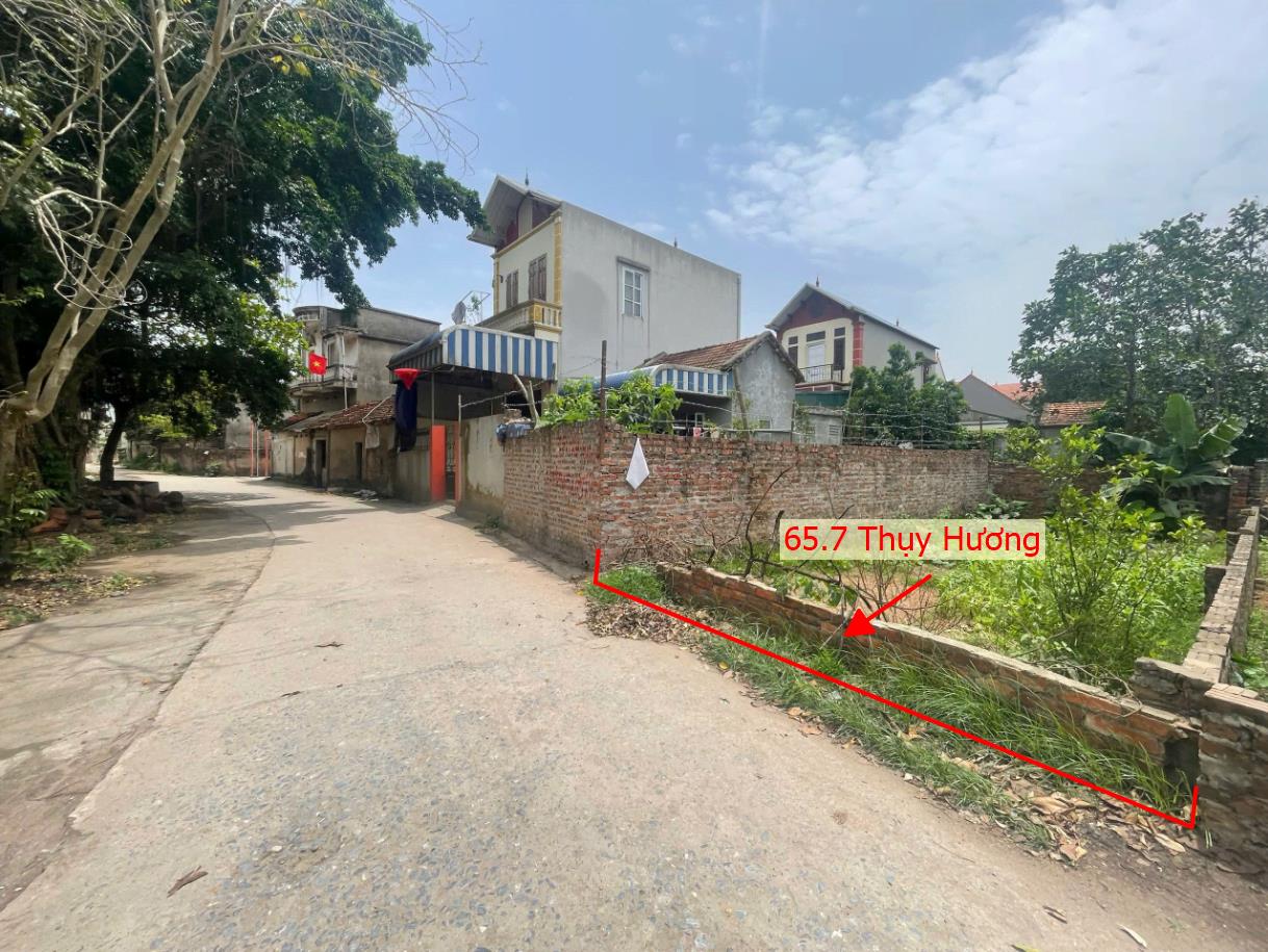 Hình ảnh Bán Đất Thụy Hương Full Thổ Cư Ô Tô Vào Tận Đất Ngay Gần Trục Chính Kinh Doanh