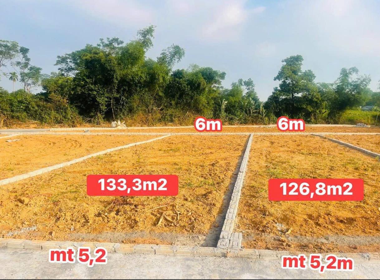 Hình ảnh Bán Lô Đất 133.3m Tại Ngọc  Lương Bám Đường Bê Tông Ô Tô Vào Tận Đất Dân Cư Đông Đúc Thân Thiện Gần Chợ Trường Học Ủy Ban Giá Đầu Tư