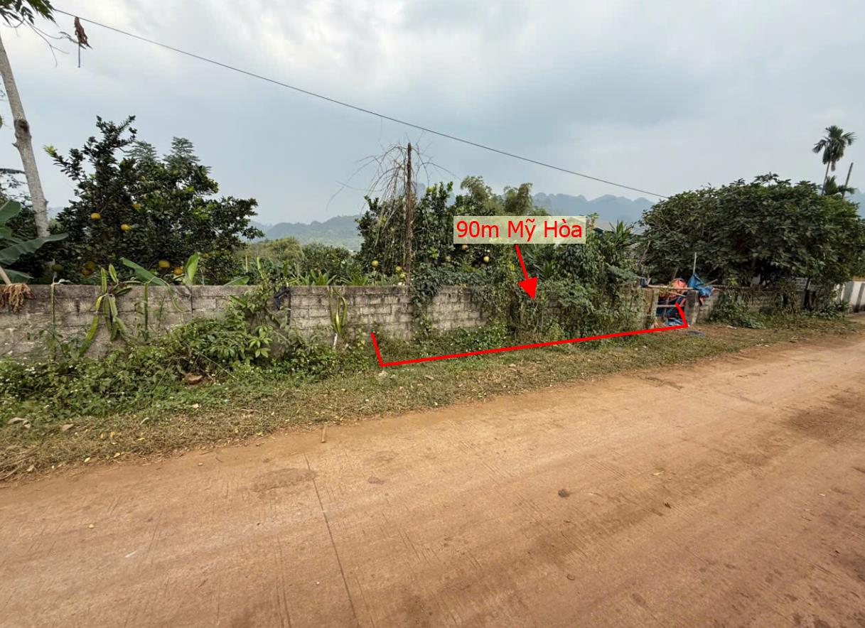 Hình ảnh Bán Lô Đất 90m Tại Mỹ Hòa Tân Lạc Bám Đường Bê Tông Ô Tô Vào Tận Đất Dân Cư Đông  Gần Nhiều Khu Nghỉ Dưỡng Giá Đầu T