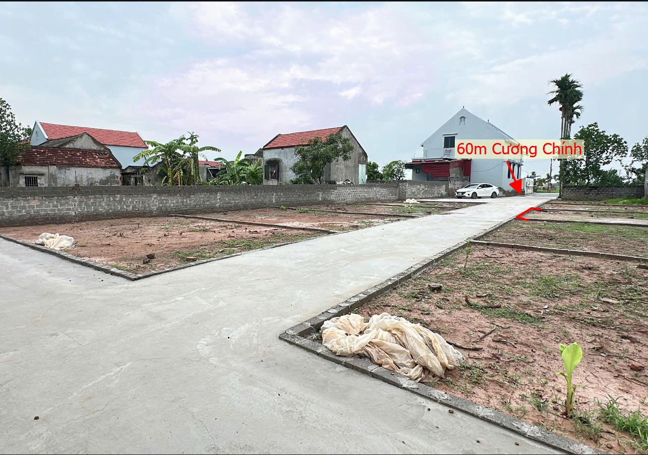 Hình ảnh Bán Lô Đất 60m Tại Cương Chính Tiên Lữ Bám Đường Bê Tông Ô Tô Vào Tận Đất Gần Chợ Trường Học Ủy Ban Giá Đầu Tư