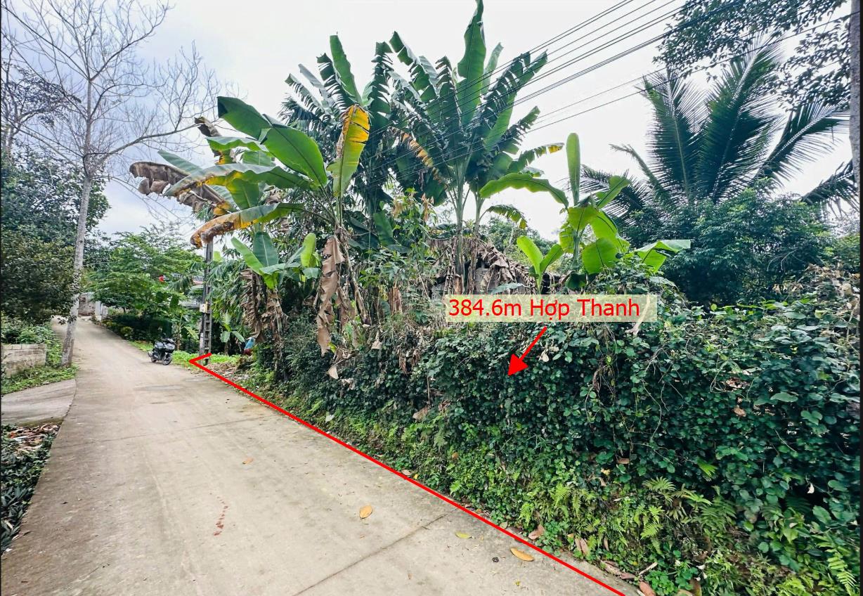 Hình ảnh Bán Lô Đất 384.6m Tại Lương Sơn Bám Đường Bê Tông Ô Tô Vào Tận Đất Dân Cư Đông Đúc Thân Thiện Gần Chợ TRường Học Ủy Ban Giá Đầu Tư