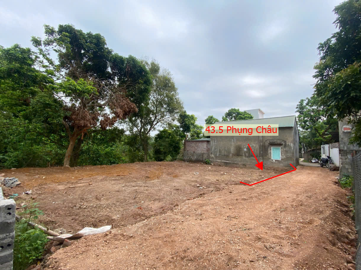 Hình ảnh Bán Đất Phân Lô Phụng Châu Full Thổ Cư Ngay Trung Tâm Xã Phụng Châu Gần Trục Liên Huyện Giá Nhỉnh 2 Tỷ