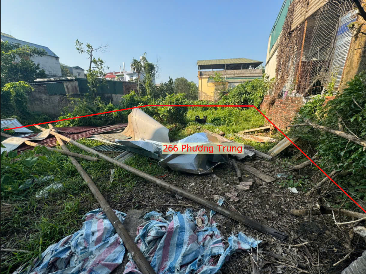 Hình ảnh Bán Đất Phương Trung Sát Trục Chính Kinh Doanh Gần QL21B Ngay Trung Tâm Xã Phương Trung