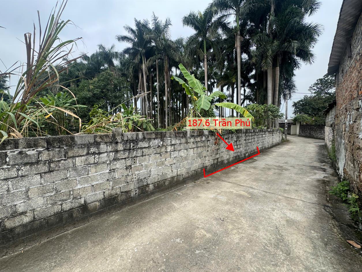 Hình ảnh Bất Động Sản Trần Phú Bán Đất Phân Lô Trần Phú Ô Tô Đỗ Tận Đất Sát Trục Chính Kinh Doanh Ngay Gần QL21A 