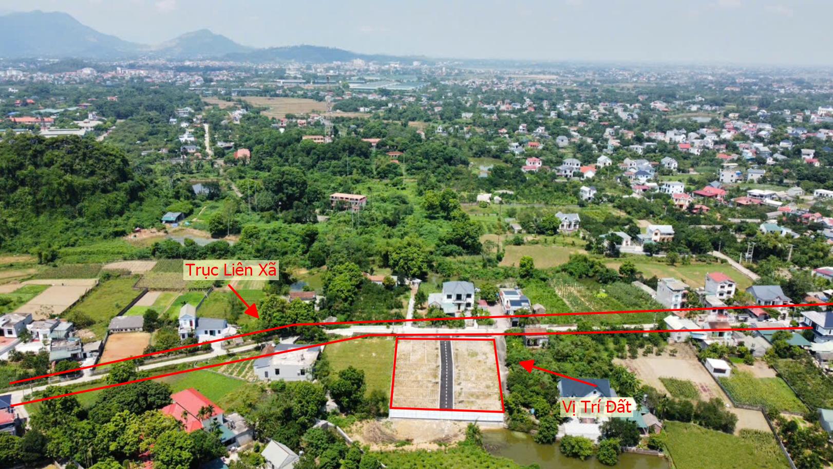 Hình ảnh Đất Phân Lô Đồi Chè Tân Tiến Ô Tô Vào Tận Đất Sát Trục Chính Kinh Doanh Liên Xã Ngay Gần QL21A