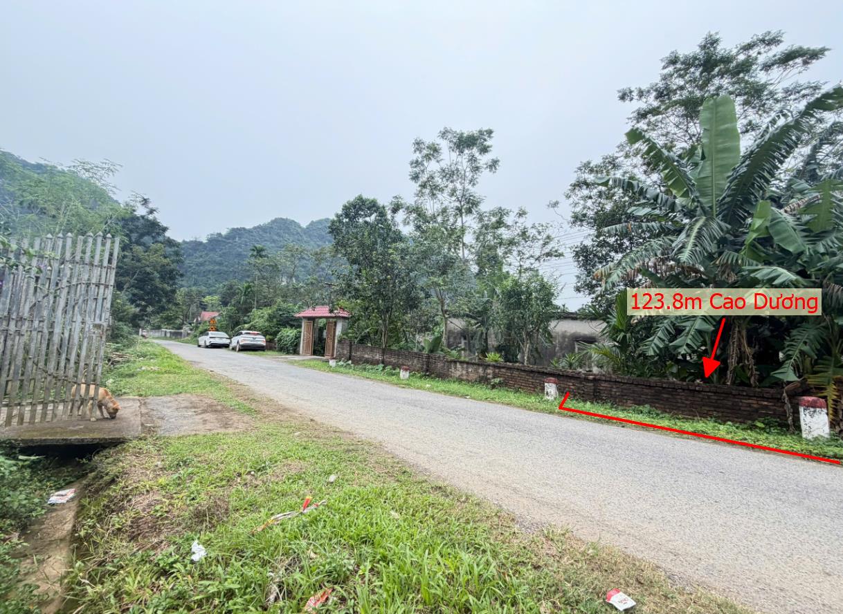 Hình ảnh Bán Lô Đất 123.8m Tại Cao Dương Lương Sơn Bám Đường Liên Xã Dân Cư ĐÔng Đúc Thân Thiện Gần Chợ Trường Học Ủy Ban Giá Đầu Tư
