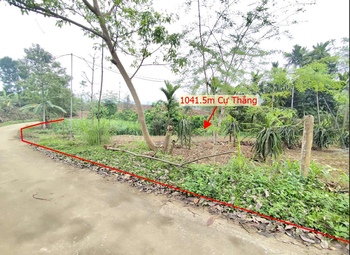 Hình ảnh Bán Lô Đất 1041.5m Tại Cự Thắng Thanh Sơn Bám Đường Bê Tông Ô Tô Vào Tận Đất View Thoáng Mát Sổ Đỏ Pháp Lý Rõ Ràng