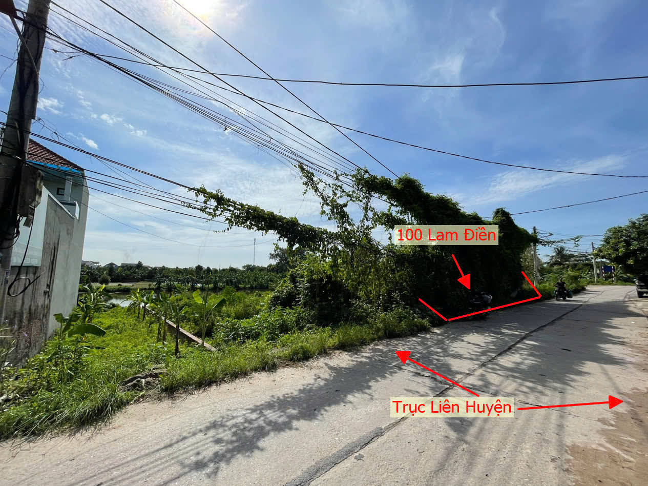 Hình ảnh Bất Động Sản Quảng Bị Bán Đất Đấu Giá Khu Cửa Chùa Lam Điền Mặt Đường Kinh Doanh Liên Xã 