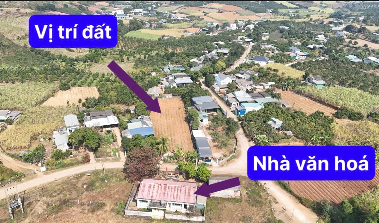 Hình ảnh Bán Lô Đất 1222.1m Tại Nam Phong Bám Đường Bê Tông Ô Tô Vào Tận Đất Dân Cư Đông Đúc Thân Thiện Phù Hợp Phân Lô Giá Đầu Tư
