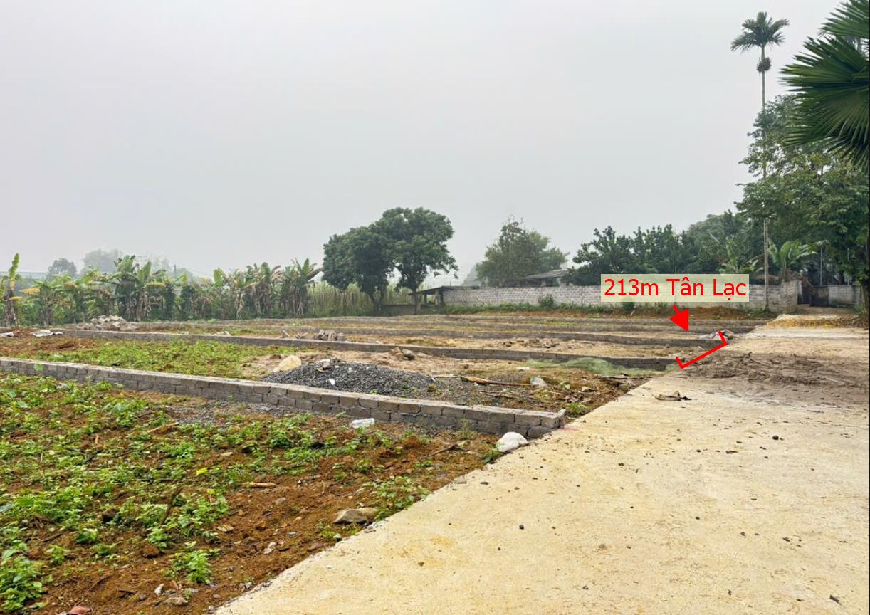 Hình ảnh Bán Lô Đất 213m Tại Tân Lạc Bám Đường Bê Tông Ô Tô Vào Tận Đất Dân Cư Đông Đúc Cách Tl 150m CÁch Ql6 2km Giá Đầu Tư
