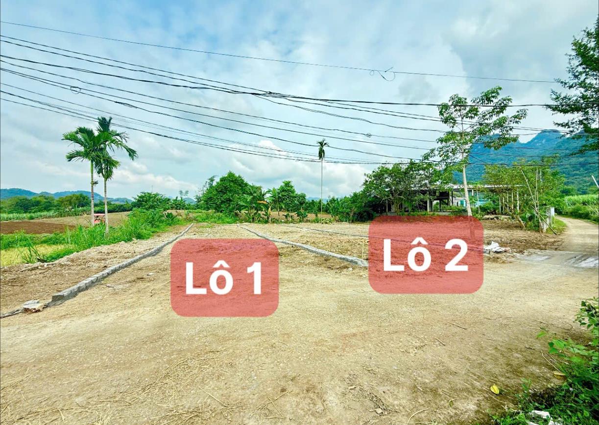 Hình ảnh Bán Lô Đất 208.5m Tại Mỹ Hòa Tân Lạc Bám Đường Bê Tông Ô Tô Vào Tận Đất Dân Cư Đông Đúc Thân Thiện  View Cánh Đồng Thoáng Mát Tiềm Năng Sinh Lời Cao Giá Đầu Tư