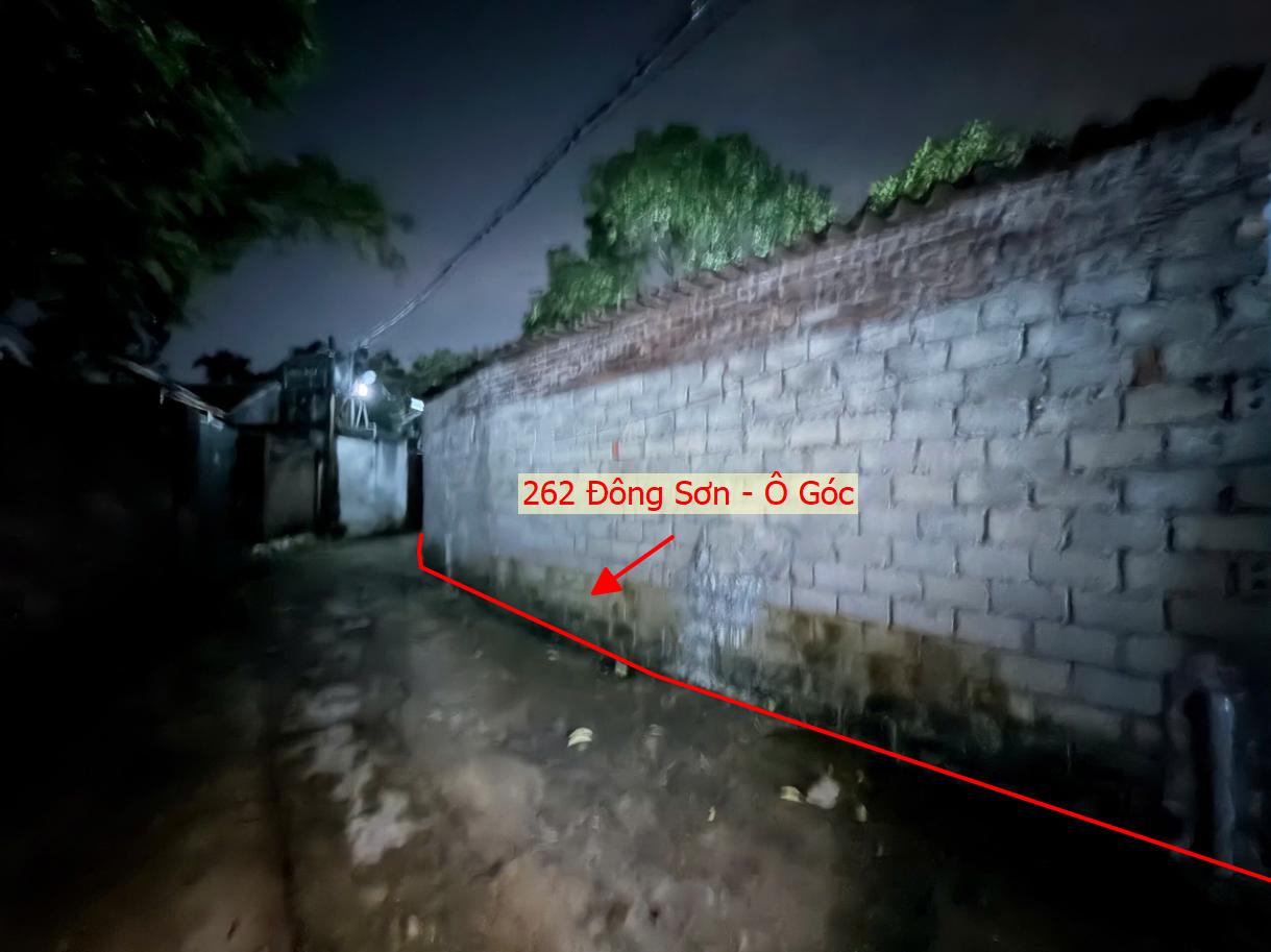 Hình ảnh Bán Lô Góc 2 Mặt Thoáng 262m Tại Đông Sơn Sát Trục Kinh Doanh Liên Huyện Giá Chỉ Vài Tỷ