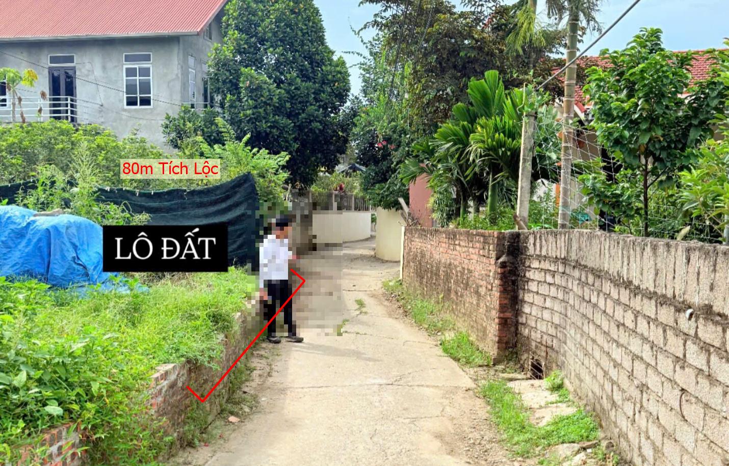 Hình ảnh Bán Lô Đất 80m Tại Tích Lộc Phúc Thọ Bám Đường Bê Tông Ô Tô Vào Tận Đất Dân Cư Đông Đúc Gần CHợ Trường Học Ủy Ban Giá Đầu Tư
