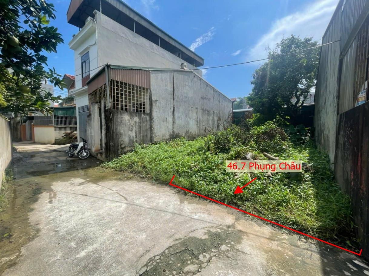 Hình ảnh Bán Đất Full Thổ Cư 46.7m Tại Phụng Châu Ô Tô Vào Tận Đất Ngay Gần Trục Chính Kinh Doanh Liên Huyện