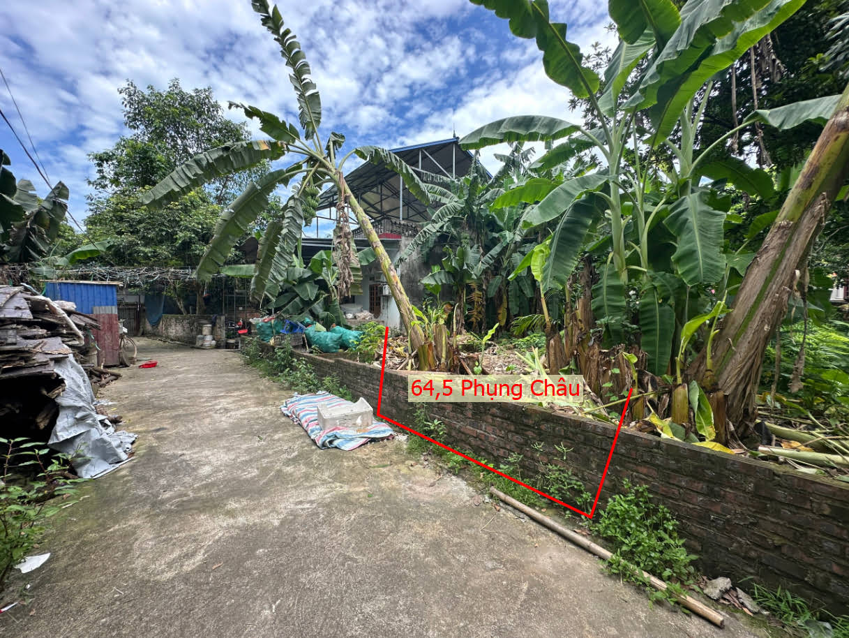 Hình ảnh Bán Đất Full Thổ Cư 64.5m Tại Phụng Châu Sát Trục Chính Kinh Doanh Liên Xã Giá Chỉ Vài Tỷ