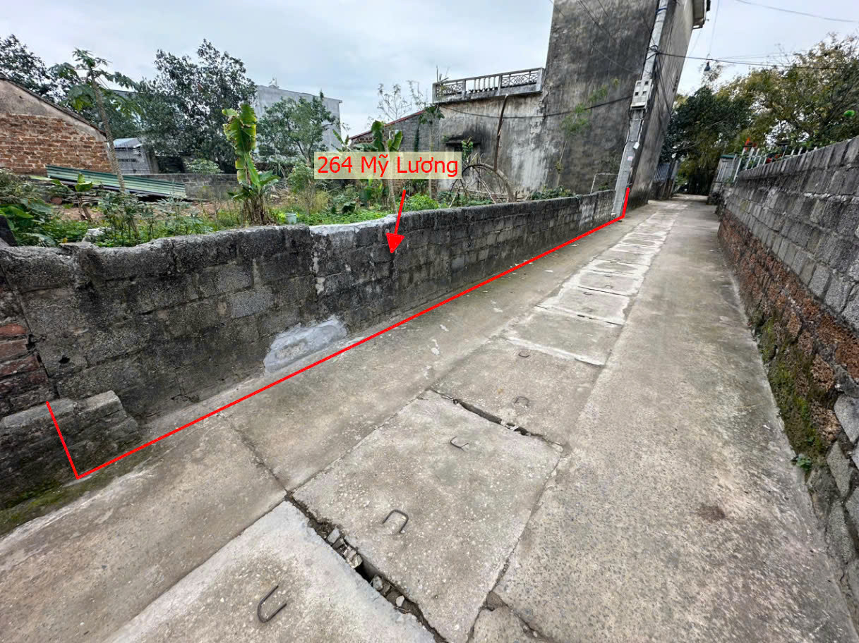 Hình ảnh Bán Thửa Đất 264M Tại Mỹ Lương Sát Trục Kinh Doanh Liên Xã Ngay Gần Trường Học Các Cấp Xã Mỹ Lương 