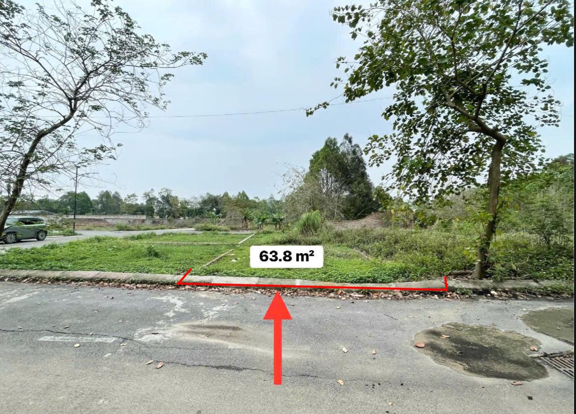 Hình ảnh Bán Lô Đất 63.8m Tại Cổ Đông Sơn Tây Bám Đường Bê Tông Ô Tô Vào TẬn ĐẤt Dân Cư Đông Dúc Giá Đầu Tư