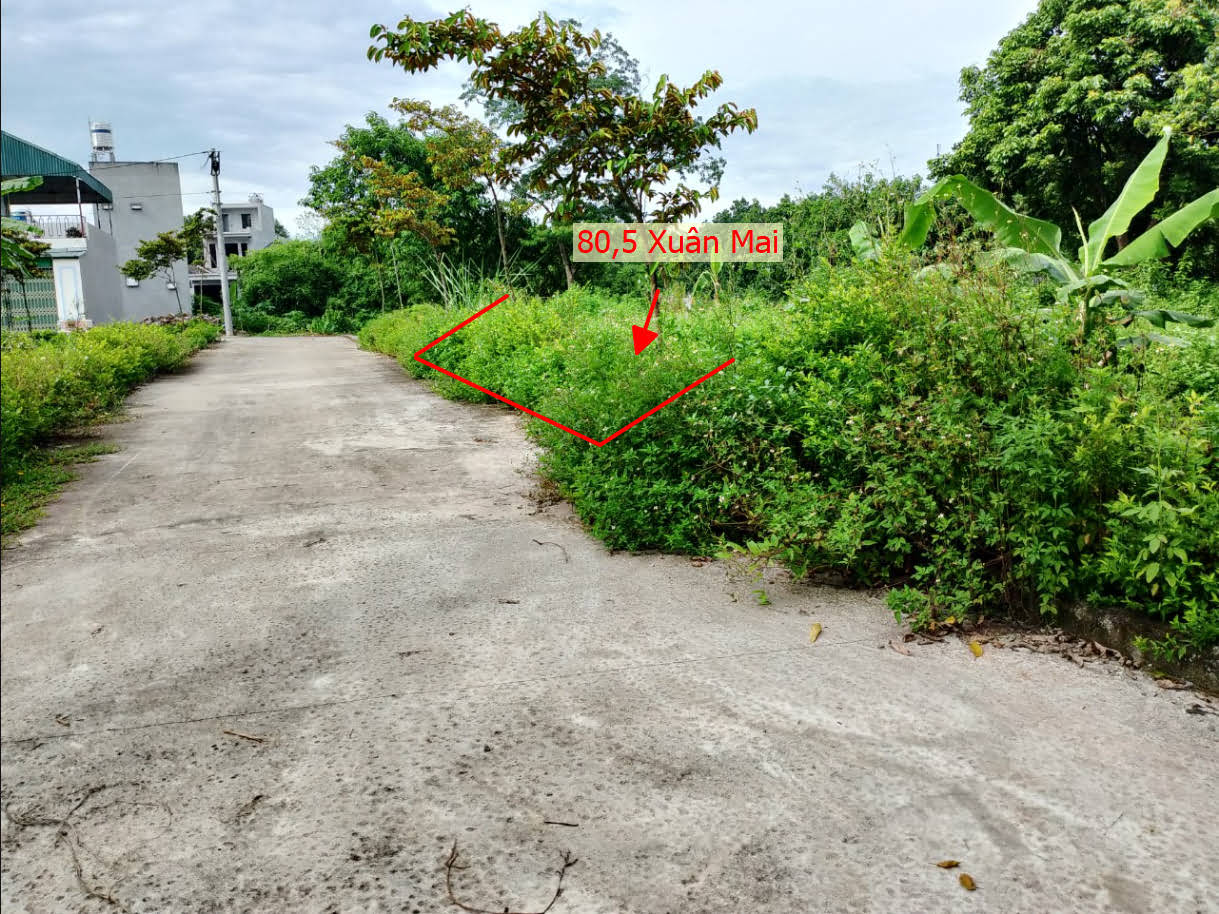 Hình ảnh Bán Đất Thị Trấn Xuân Mai Ô Tô Vào Tận Đất Ngay Sát QL6A Giá Nhỉnh Tỷ