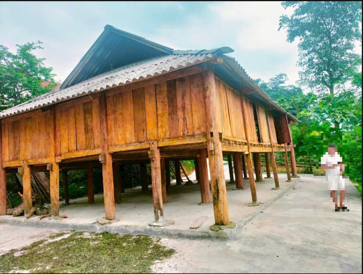 Hình ảnh Bán Lô Đất Nghỉ Dưỡng 903m tại Phú Cường Tân Lạc Bám Đường Bê Tông Ô Tô Vào Tận Sẵn Nhà Sàn Kiên Cố View Thoáng Mát 