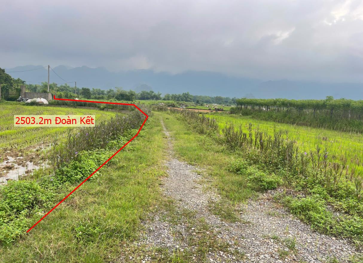 Hình ảnh Bán Lô Đất 2503.2m Tại Đoàn Kết Yên Thủy Bám Đường Bê Tông Ô Tô Vào Tận Đất  Đã Xây Tường Bao Xung Quanh Phù Hợp Làm Homestay View Thoáng Mát Giá Đầu Tư
