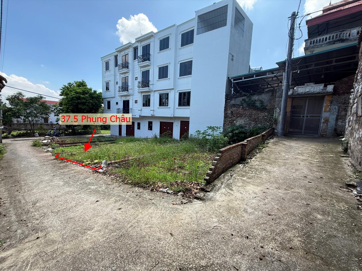 Hình ảnh Bán Thửa Đất 37.5m Tại Phụng Châu Chương Mỹ Sát Trục Kinh Doanh Liên Huyện - Đất Phân Lô Phụng Châu 