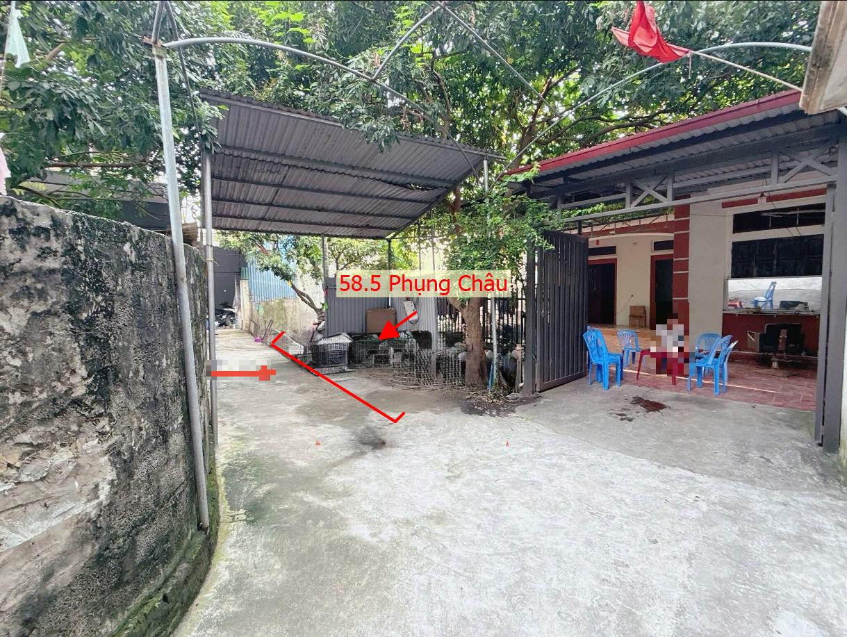 Hình ảnh Bán Thửa Đất Full Thổ Cư 58.5m Tại Phụng Châu Sát Trục Chính Kinh Doanh Liên Huyện Giá Chỉ Vài Tỷ