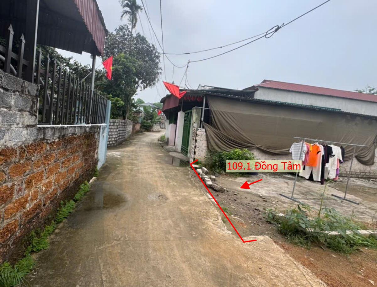 Hình ảnh Bán Thửa Đất 109.1m Tại Đồng Tâm Ô Tô Vào Tận Đất Ngay Gần Mặt Đường Kinh Doanh TL429
