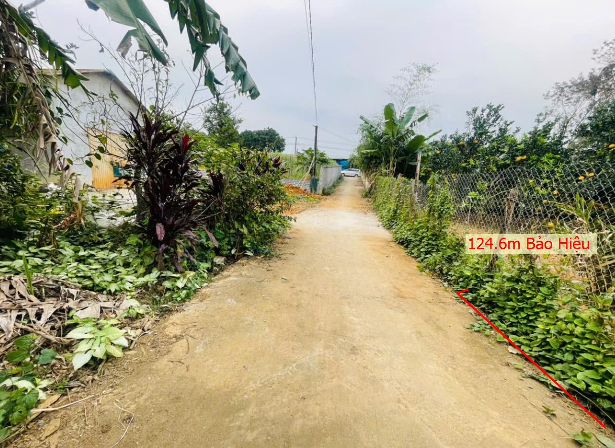 Hình ảnh Bán Đất Phân Lô Tại Bảo Hiệu Yên Thủy Bám ĐƯờng Bê Tông Ô Tô Vào Tận Đất Dân Cư Đông Đúc  Gần Chợ Trường Học ỦY Ban Giá Đầu Tư
