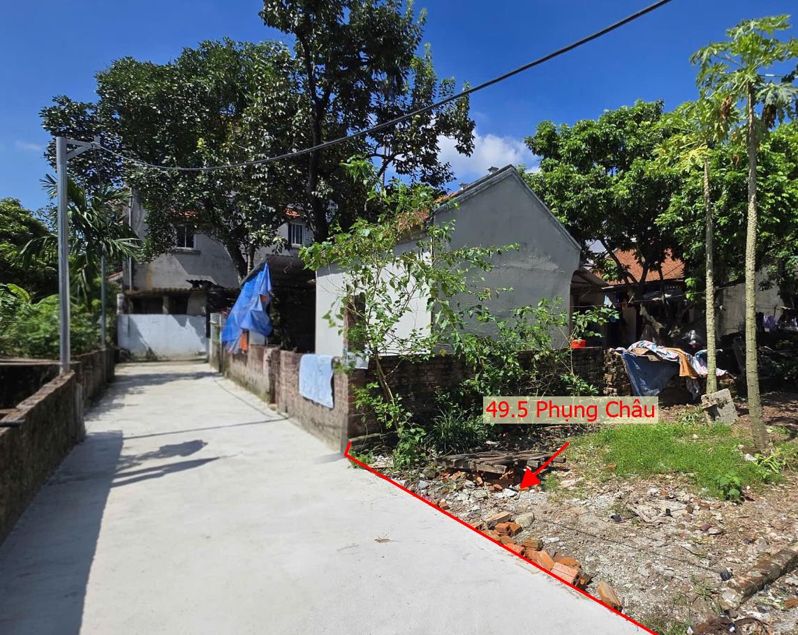 Hình ảnh Bán Đất Phụng Châu Sát Trục Chính Kinh Doanh Liên Xã Ngay Trung Tâm Xã Phụng Châu Cũ Giá Chỉ Vài Tỷ