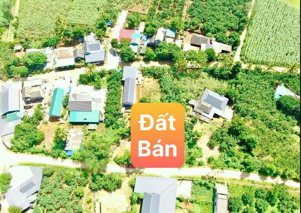 Hình ảnh Bán Lô Đất 273.5m Tại Mỹ Hòa Tân Lạc Bám Đường Bê Tông Ô Tô Vào Tận Đất Dân Cư Đông Đúc Thân Thiện Gần Chợ Trường Học Ủy Ban Giá Đầu Tư
