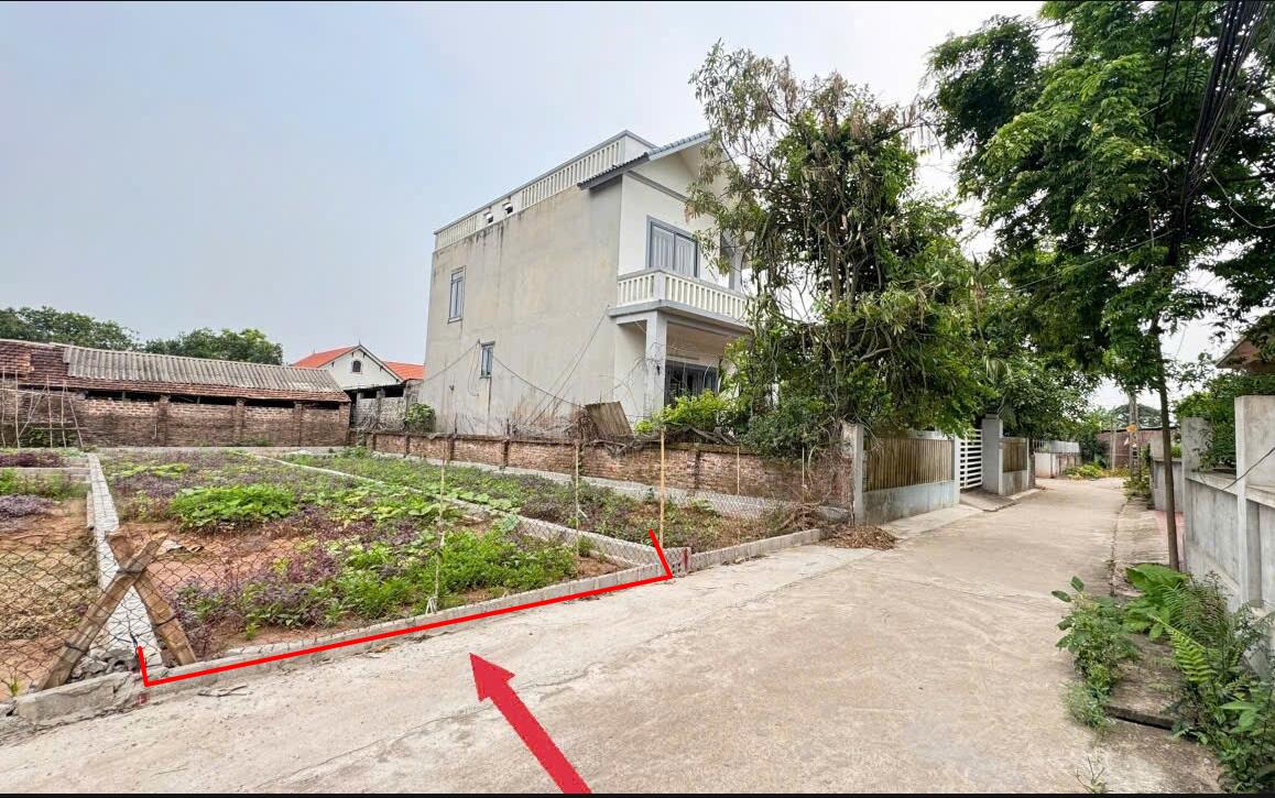 Hình ảnh Bán Lô Đất 94.2m Tại Đông Tảo Khoái Châu Bám Đường Bê Tông Ô Tô Vào Tận Đất Dân Cư Đông  Đúc Thân Thiện Gần VDD4 Giá Đầu Tư