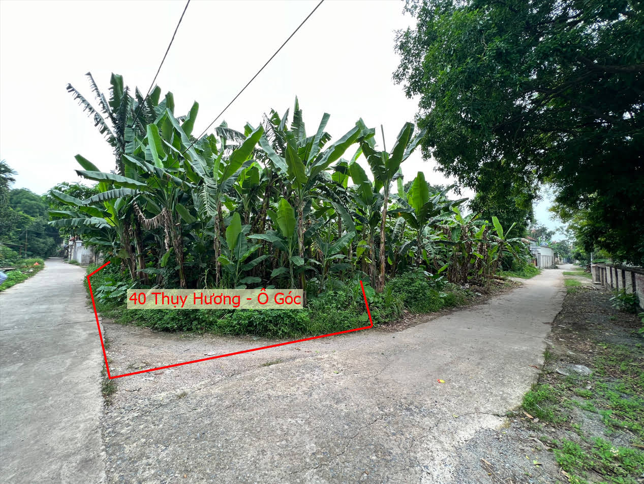 Hình ảnh Bán Lô Góc  Mặt Tiền Full Thổ Cư Ô Tô Vào Tận Đất tại Thụy Hương Chương Mỹ