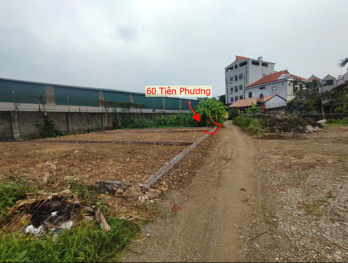 Hình ảnh Đất Phân Lô Tiên Phương Chương Mỹ Ngay Sát QL6A Đang Triển Khai Mở Rộng 