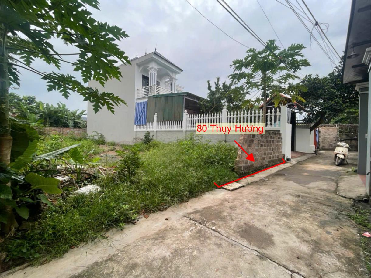 Hình ảnh Bất Động Sản Chương Mỹ Bán Đất Khu Vực Thụy Hương Full Thổ Cư Sát Trục Chính Kinh Doanh Cách Trường Học, Chợ Chỉ Vài Bước Chân