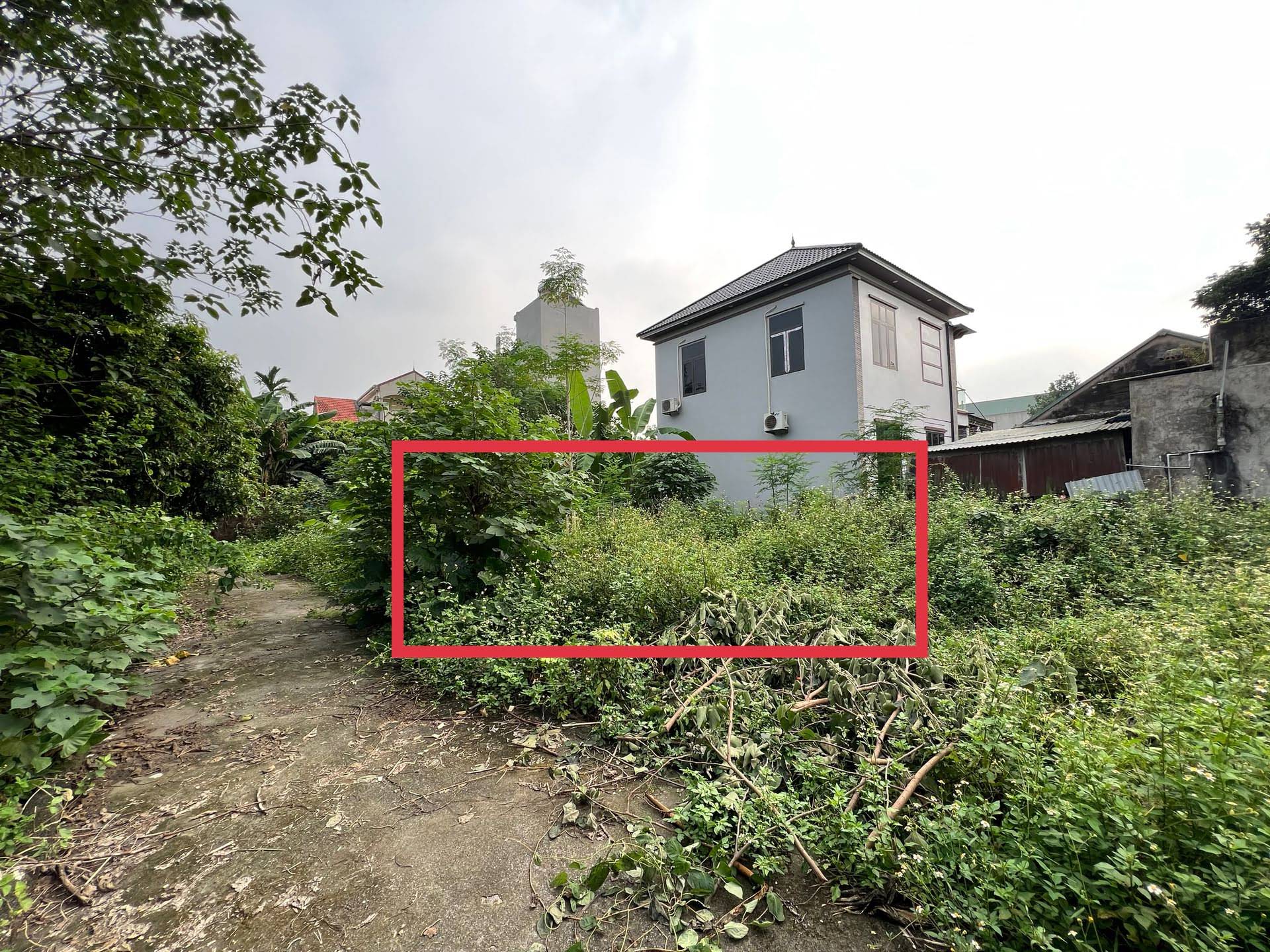 Hình ảnh Bán Đất Gần Trường TDTT Cách QL6 Vài Trăm Mét Tại Phụng Châu Mà Giá Cực Rẻ 