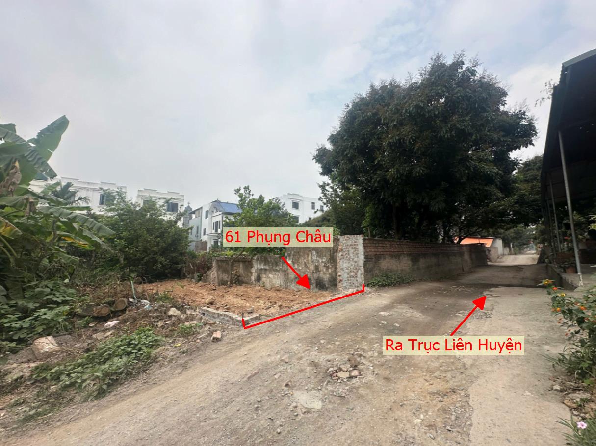Hình ảnh Bán Thửa Đất 61m Tại Phụng Châu Chương Mỹ Ô Tô Đỗ Tận Đất Sát Trục Liên Huyện 
