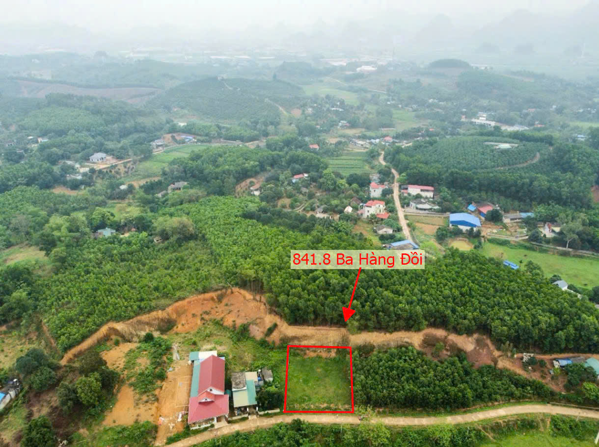 Hình ảnh Bán Đất Thị Trấn Ba Hàng Đồi Ô Tô Vào Tận Đất Ngay Sát Trục Chính Kinh Doanh Giá Chỉ Hơn Tỷ 