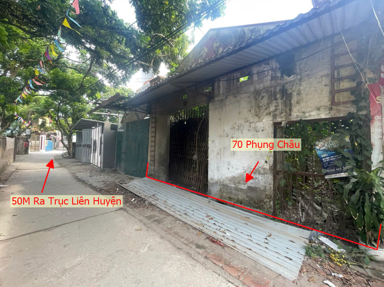 Hình ảnh Bán Đất Full Thổ Cư Sát Trục Chính Kinh Doanh Liên Huyện Ô Tô Vào Tận Đất Ngay Trung Tâm Xã Phụng Châu