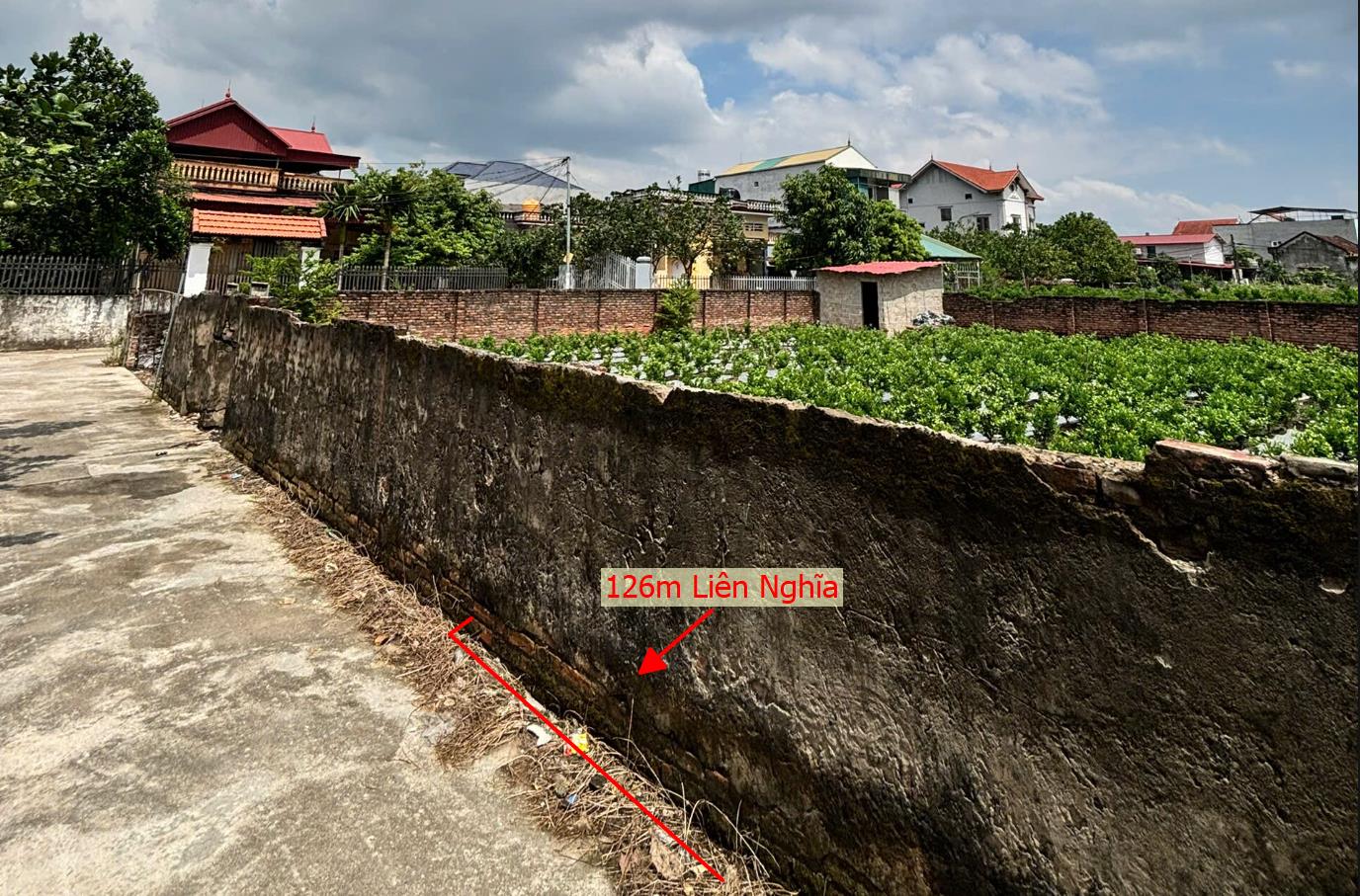 Hình ảnh Bán Lô Đất 126m Tại Liên Nghĩa Văn Giang Bám Đường Bê Tông Ô Tô Vào Tận Đất Dân Cư Đông Đúc Thân Thiện Gần Chợ Ủy Ban Giá Đầu Tư