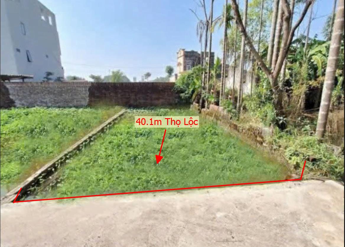 Hình ảnh Bán Lô Đất 40.1m Tại Thọ Lộc Phúc Thọ Bám Đường Bê Tông Ô Tô Vào Tận Đất Dân Cư Đông Đúc Thân Thiện Giá Đầu Tư