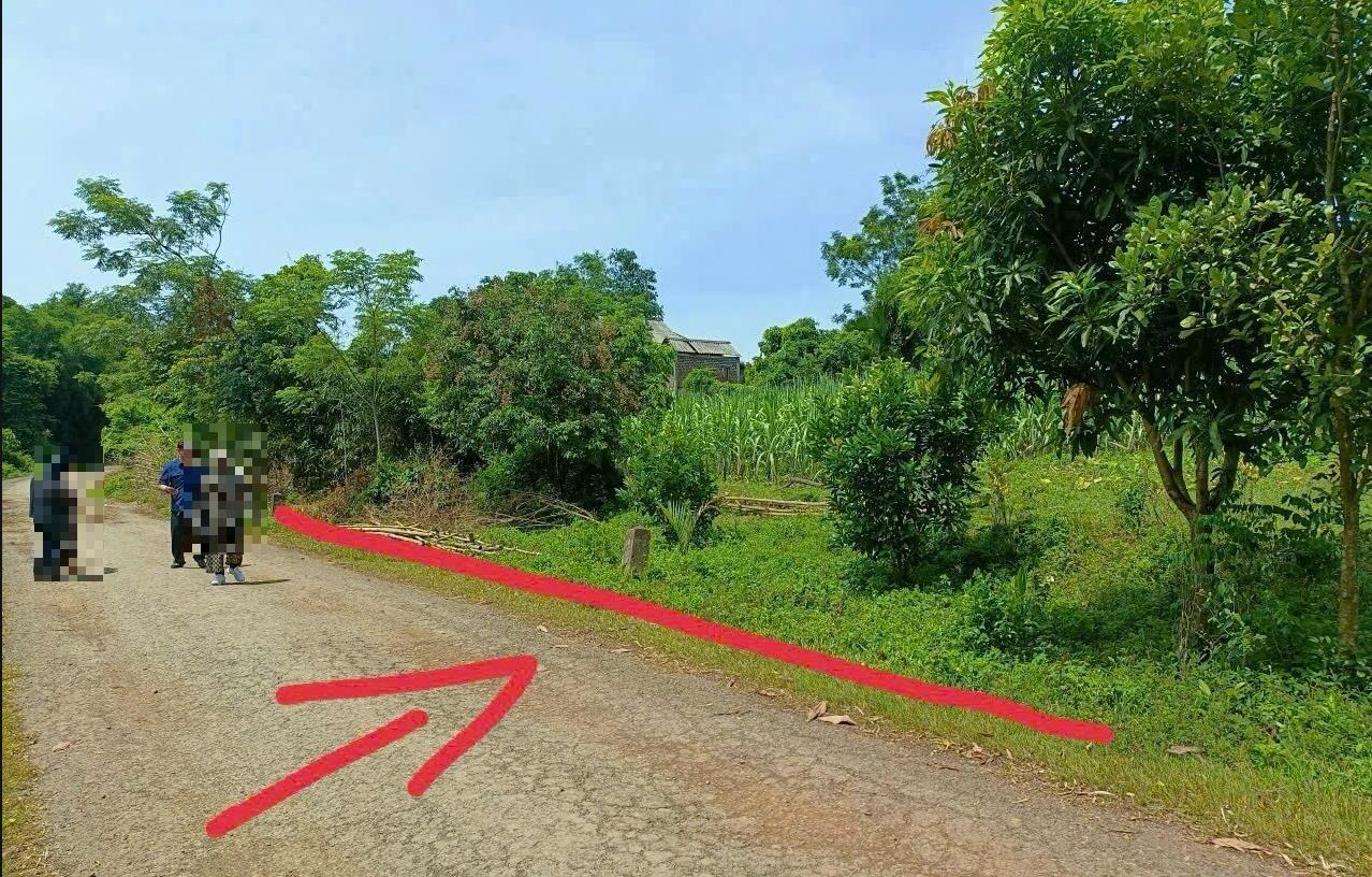 Hình ảnh Bán Lô Đất 1220.5m Tại Mỹ Hoa Tân Lạc Bám Đường Bê Tông Ô Tô Vào Tận Đất Dân Cư Đông Đúc Thân Thiện Phù Hợp Phân Lô Nghỉ Dưỡng 