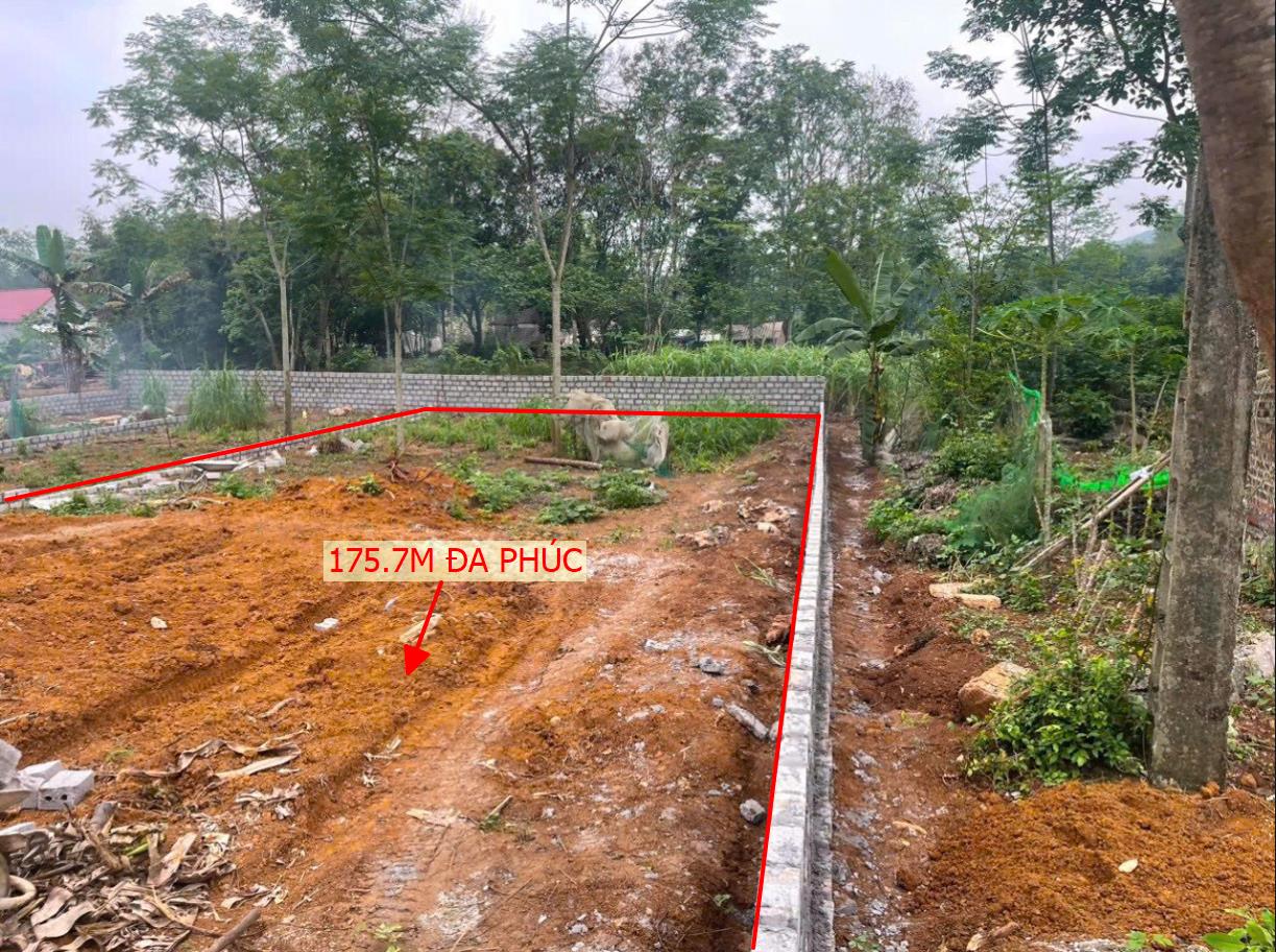 Hình ảnh Bán Lô Đẩt 175.7m Tại Đa Phúc Bám Đường Bê Tông  Dân Cư Xung Quanh Đông Đúc Giá Chỉ Vài Trăm Triệu