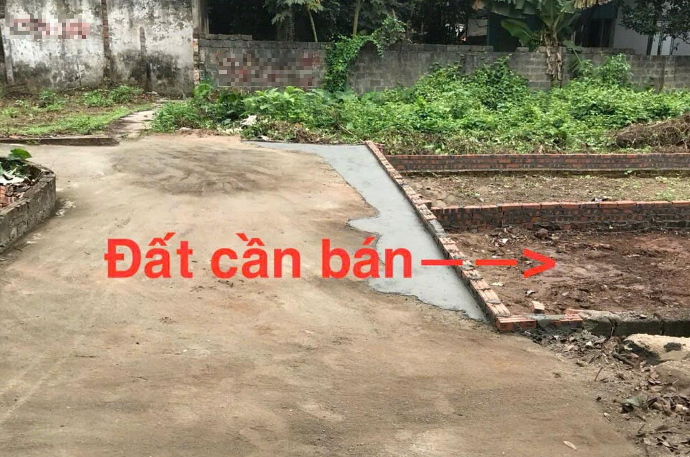 Hình ảnh Bất Động Sản Chương Mỹ Bán Đất Full Thổ Cư Tại Phụng Châu Sát Trục Chính Kinh Doanh Gần Đại Học TDTT