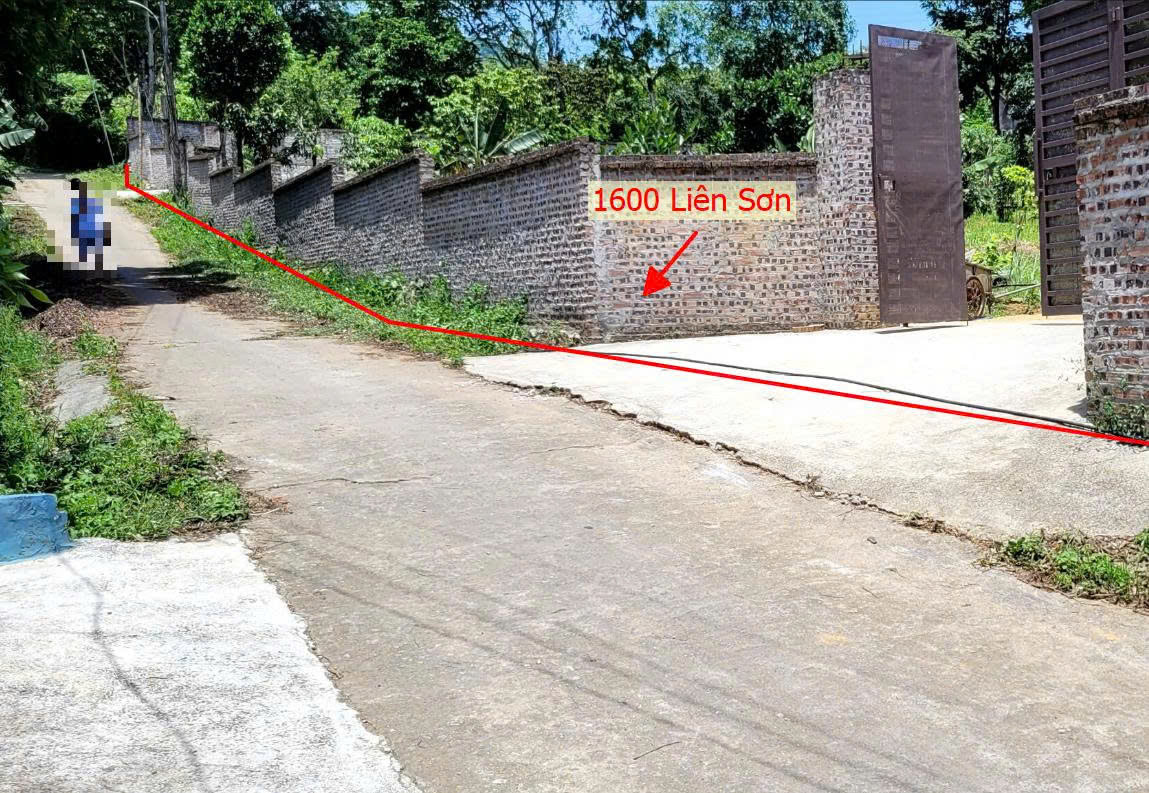 Hình ảnh Bán Thửa Đất 1600m Tại Liên Sơn Lương Sơn Ô Tô Đỗ Tận Đất Ngay Gần Trục Chính Kinh Doanh