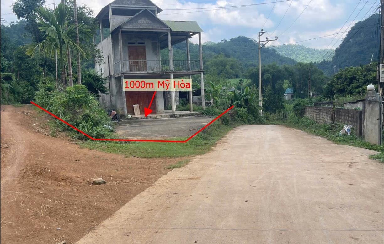 Hình ảnh Bán Lô Đất 1000m Tại Mỹ Hòa Tân Lạc Bám Đường Bê Tông Sẵn Nhà 2 Tầng Chỉ Việc Về Ở Dân Cư Đông Đúc Giá Đầu Tư