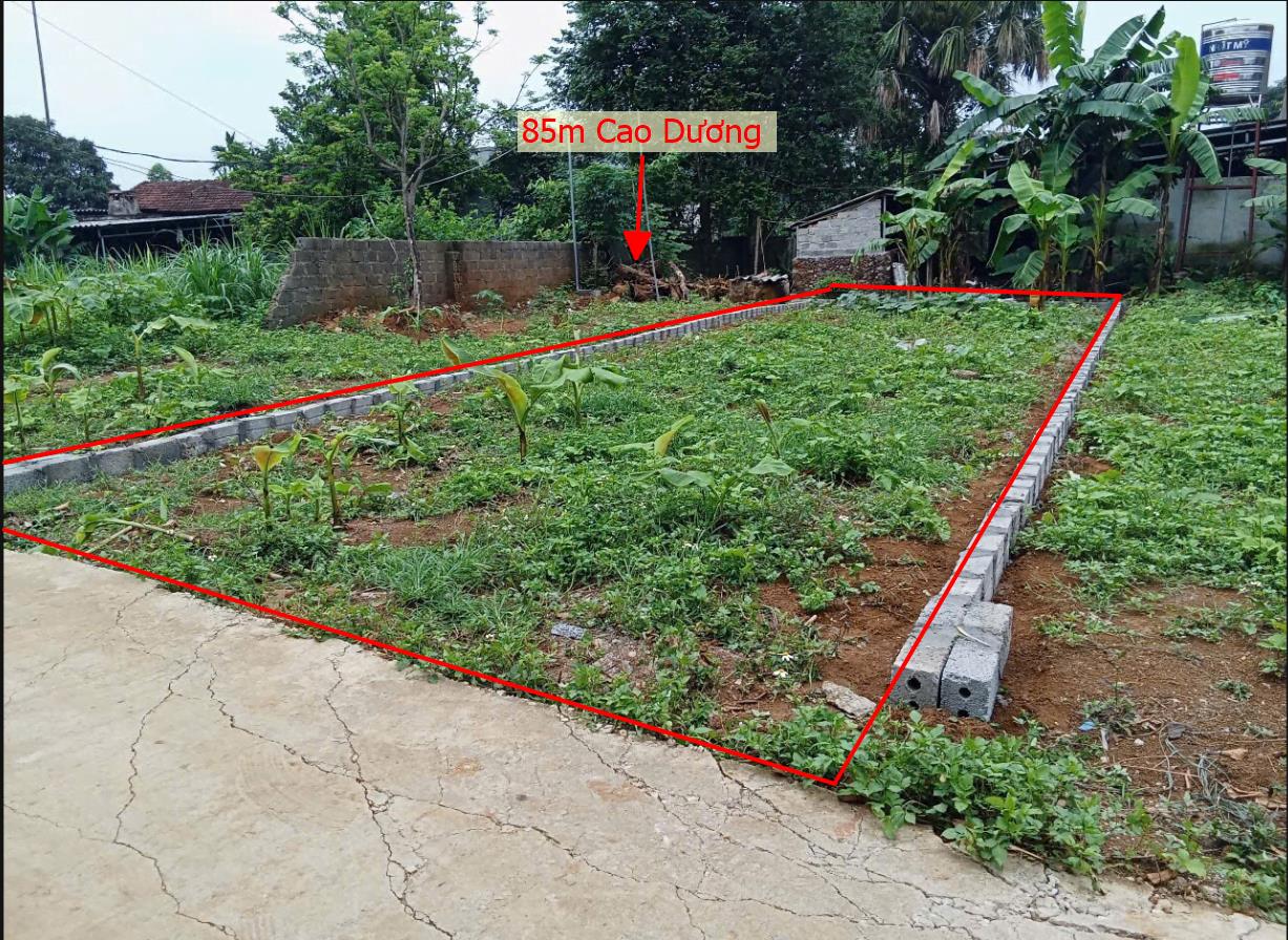 Hình ảnh Bán Lô Đất 85m Tại Cao Dương Lương Sơn Bám ĐƯờng Bê Tông Ô Tô Vào Tận Đất Sổ Đỏ Pháp Lý Rõ Ràng Dân Cư Đông Đúc Thân Thiện Giá Đầu Tư
