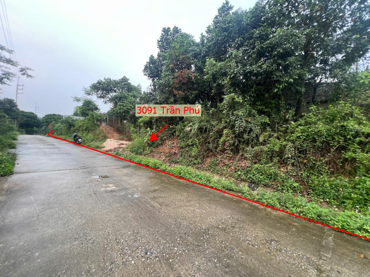 Hình ảnh Bất Động Sản Trần Phú Bán Đất Khu Vực Trần Phú Ô Tô Đỗ Tận Đất Sát Hồ Đồng Sương Thoáng Mát Gần QL21A 